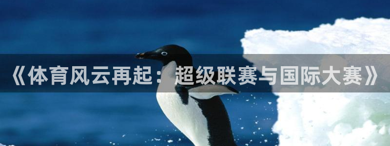 《体育风云再起：超级联赛与国际大赛》