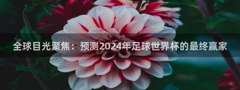 全球目光聚焦：预测2024年足球世界杯的最终赢家
