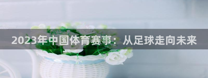2023年中国体育赛事：从足球走向未来