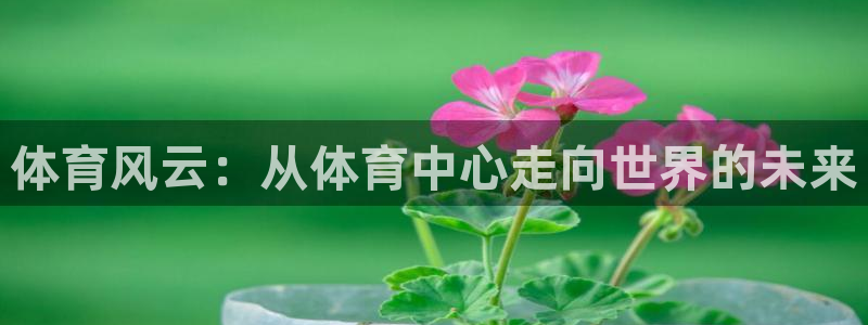 体育风云：从体育中心走向世界的未来