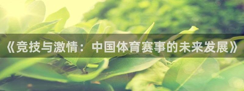 《竞技与激情：中国体育赛事的未来发展》