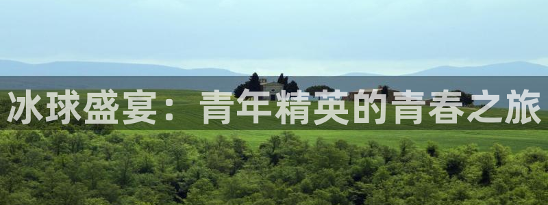 冰球盛宴：青年精英的青春之旅