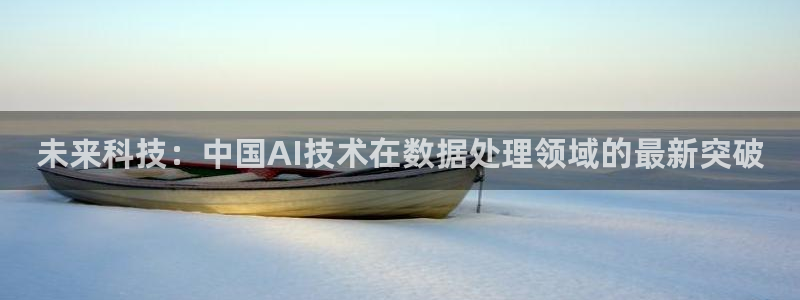 未来科技：中国AI技术在数据处理领域的最新突破
