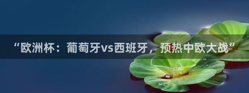 “欧洲杯：葡萄牙vs西班牙，预热中欧大战”