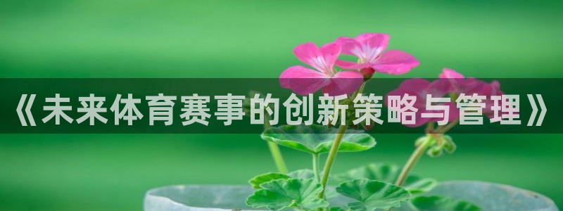 《未来体育赛事的创新策略与管理》