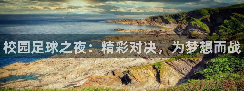 校园足球之夜：精彩对决，为梦想而战