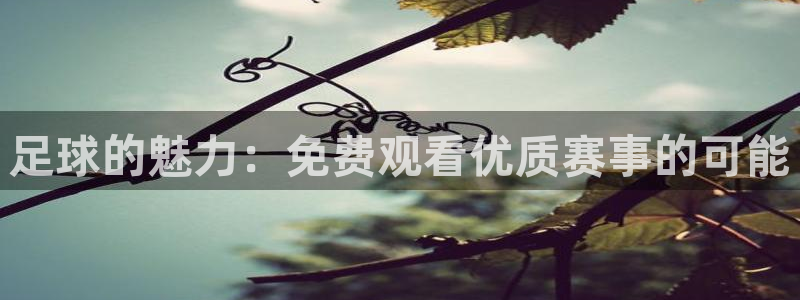 足球的魅力：免费观看优质赛事的可能
