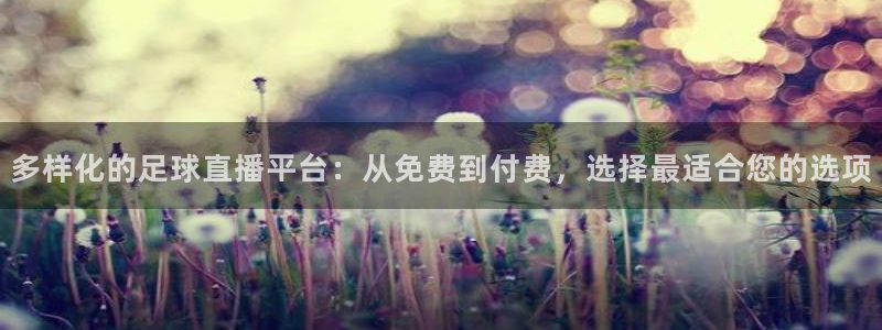 多样化的足球直播平台：从免费到付费，选择最适合您的选项