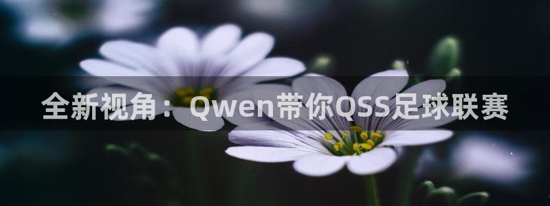 全新视角：Qwen带你QSS足球联赛