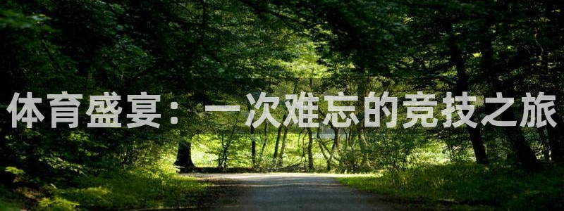 体育盛宴：一次难忘的竞技之旅